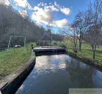 The family house in Mokrá Lúka has a garden with a stream, a swing, and trees.