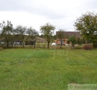 A family house in Nemcovce, with a grassy area and several trees in front of it.
