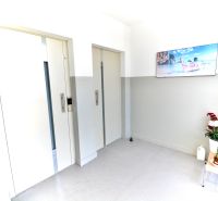 A hallway with a pair of elevators, decorations, and a painting in a 3-room apartment.