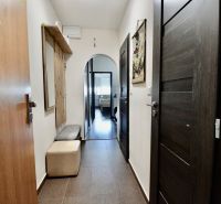A hallway with dark doors and furniture in a 3-room apartment with a wooden decor floor.