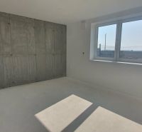 Interior of a 3-room apartment with a concrete wall and a glass window, floor with wooden decor.
