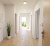 A hallway in a 3-room apartment with a wood-patterned floor, a mirror, and a plant.
