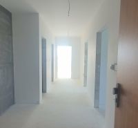 A hallway in a 3-room apartment with a raw concrete wall and open doors.