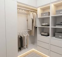 Built-in wardrobe with storage shelves and a light carpet in a 3-room apartment.