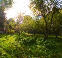 The garden of the family house in Buková full of trees and greenery.