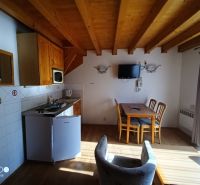Kitchenette and dining area with wood-patterned flooring in the Holiday Apartment.