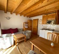 Living room of a holiday apartment with a kitchenette and a wooden decor floor.