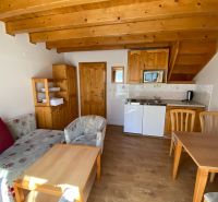 Living room with kitchenette, wooden decor flooring, holiday apartment.