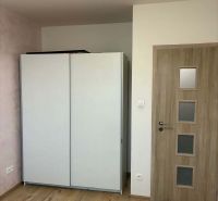 A room in a family house with a wooden decor floor, a built-in wardrobe, and doors.