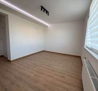 A room with ceiling lighting and a wooden decor floor in a 2-room apartment.