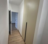 A narrow hallway with a wooden decor floor leading to a two-room apartment.
