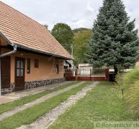 A family house in Silická Jablonica with a grassy yard and walkways next to a pine tree.