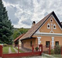 A family house in Silická Jablonica with a decorated facade and a tree in the garden.