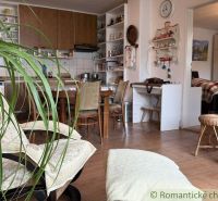Interior of a family house with chairs, a plant, and a kitchen in the background.
