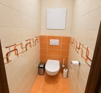 A bathroom in a 3-room apartment with orange tiles and a toilet.