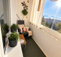 A glazed balcony in a 3-room apartment with plants, a relaxation corner, and a view.