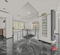 The interior of the villa with glass shelves, marble flooring, and large windows.
