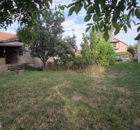 The garden of a family house in Taktaszada with a grassy area and trees.