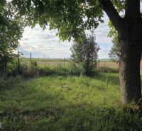 A garden at a family house in Taktaszade, with a lawn and trees.
