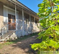 A family house in Moča surrounded by green vine leaves and a metal railing.