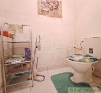 A family house bathroom with a toilet, decorative rug, and metal shelf.