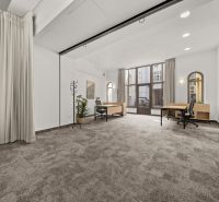 Offices with a large window, desks, carpeted floor, and a plant.