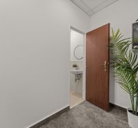 White offices with doors, carpet, sink, and a potted plant.