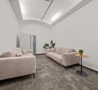 Comfortable offices with sofas, a table, and plants create a cozy atmosphere.