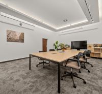 Office with a large desk, chairs, television, and a plant on the carpet, neutral decor.