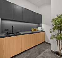 Offices with a kitchenette, a black sink, and a plant.