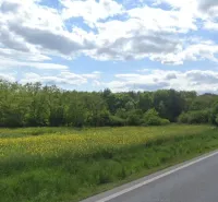 A path and a meadow near the forest on agricultural and forest lands in Nové Hony.