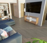 Living room in a family house with a sofa, bookshelf, TV, and wooden decor flooring.