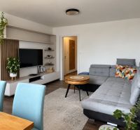 Living room in a 3-room apartment with a comfortable sofa, television, and plants.