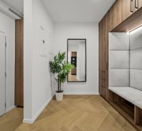 Entrance hall in a 2-room apartment with wood-patterned flooring, a mirror, and a plant.