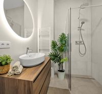Bathroom in a 2-room apartment with wooden decor, a plant, an illuminated mirror, and a shower corner.