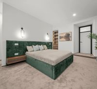 A bedroom with a green upholstered bed and carpeted floor in a two-room apartment.