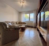 Living room with a sofa and a wooden decor floor in a 2-room apartment.