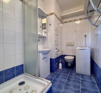 A bathroom with blue tiles, a shower, a sink, a washing machine, and a toilet in a 2-room apartment.