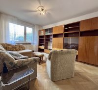 Living room with furniture and wood-patterned flooring in a two-room apartment.
