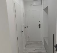 A hallway with white walls and a wooden decor floor in a 3-room apartment.