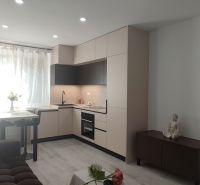 A kitchen with a corner kitchen unit in a 3-room apartment, floor with a wooden decor.