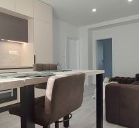 Kitchen and living room with a sofa in a three-room apartment, floor with wooden decor.