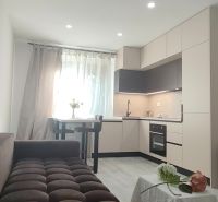 Living room in a 3-room apartment with a kitchen and a sofa, floor with wood decor.