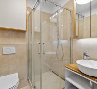 A bathroom with a glass shower enclosure and a sink in a 3-room apartment.