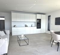 Open design in a 4-room apartment with a kitchen, living room, round table, and sofa.