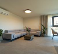 Living room in a 4-room apartment with a light sofa and plants.