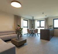 Living room with a sofa, flowers, dining table, and kitchen island in a 4-room apartment.