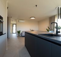 A kitchen and living room in a 4-room apartment with plenty of natural light and plants.
