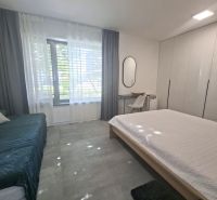 Bedroom in a two-room apartment with a large window, built-in wardrobes, and a desk.