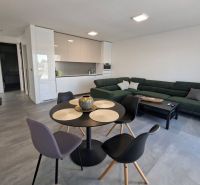 Living room with a kitchenette in a two-room apartment, featuring a dark sofa and a round table.
